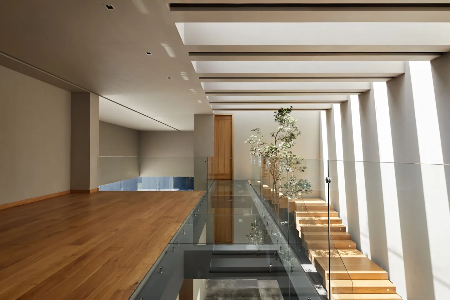 Casa CN: doble altura bañada por franjas de luz cenital, escalera de madera y árbol interior