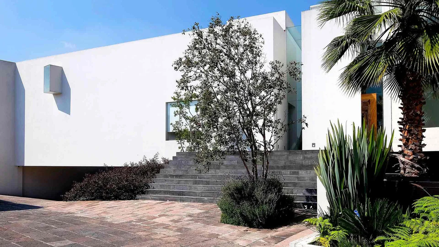 Casa AG: fachada blanca con escalinata de piedra entre árboles y palmeras