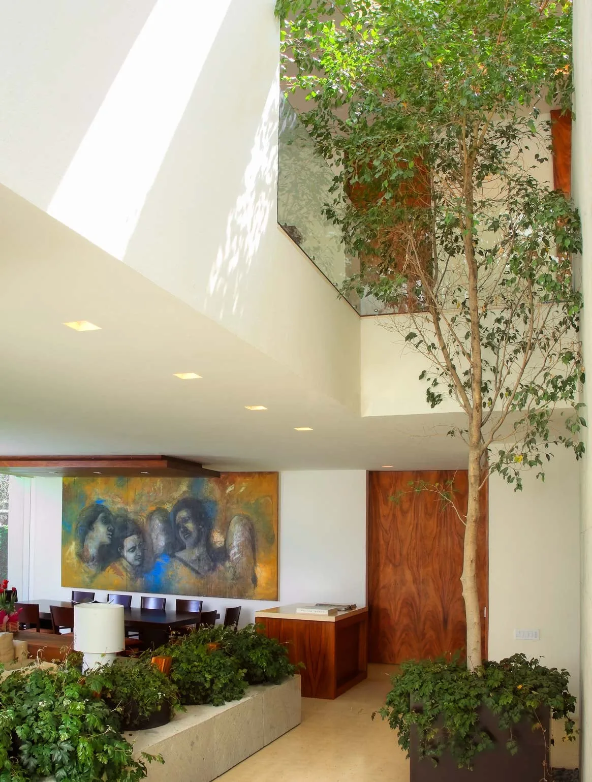 Conjunto AG: árbol en un patio interior a doble altura