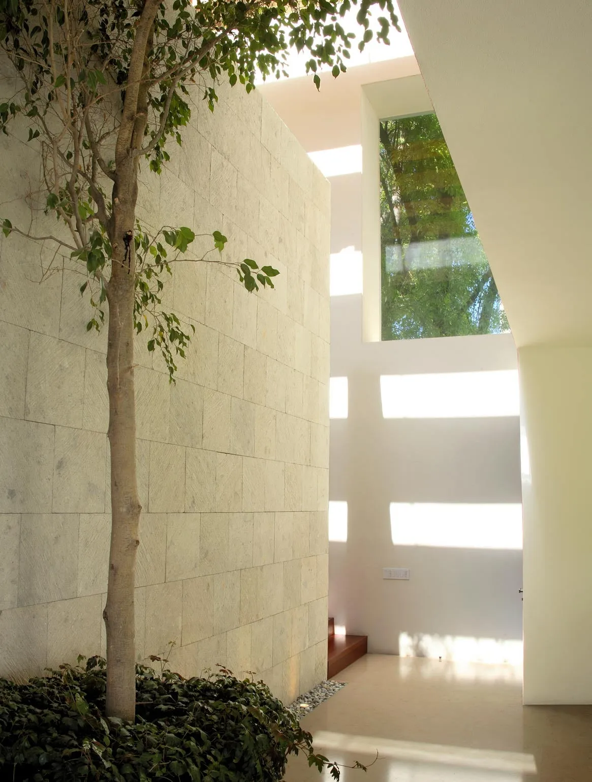 Conjunto AG: patio de muros de piedra clara con un árbol y luz cenital