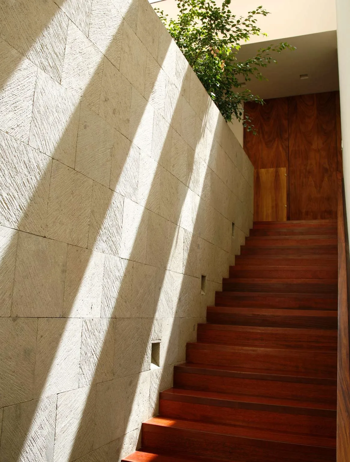 Conjunto AG: escalera de madera entre un muro de piedra y la vegetación
