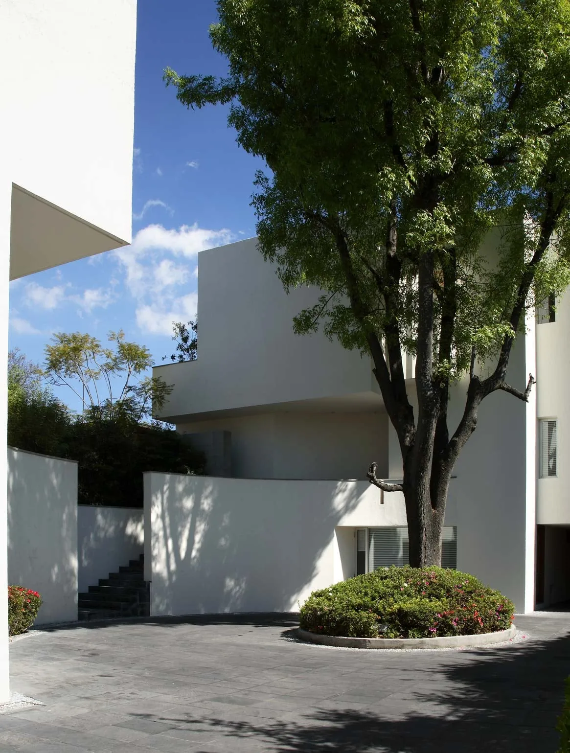 Conjunto AG: casas blancas alrededor de una glorieta arbolada