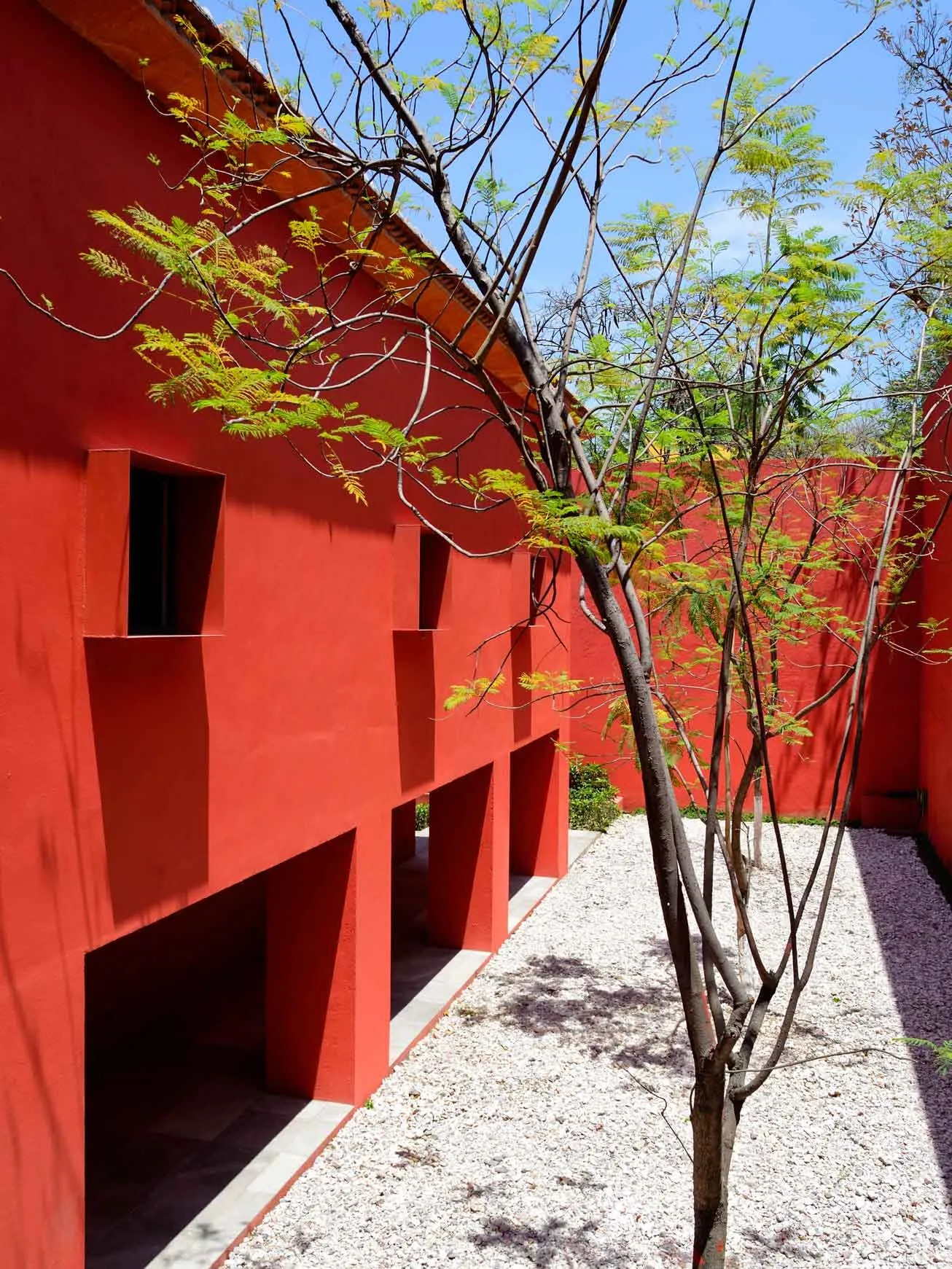 Casa CU 2: patio de grava entre muros rojos con un árbol al centro
