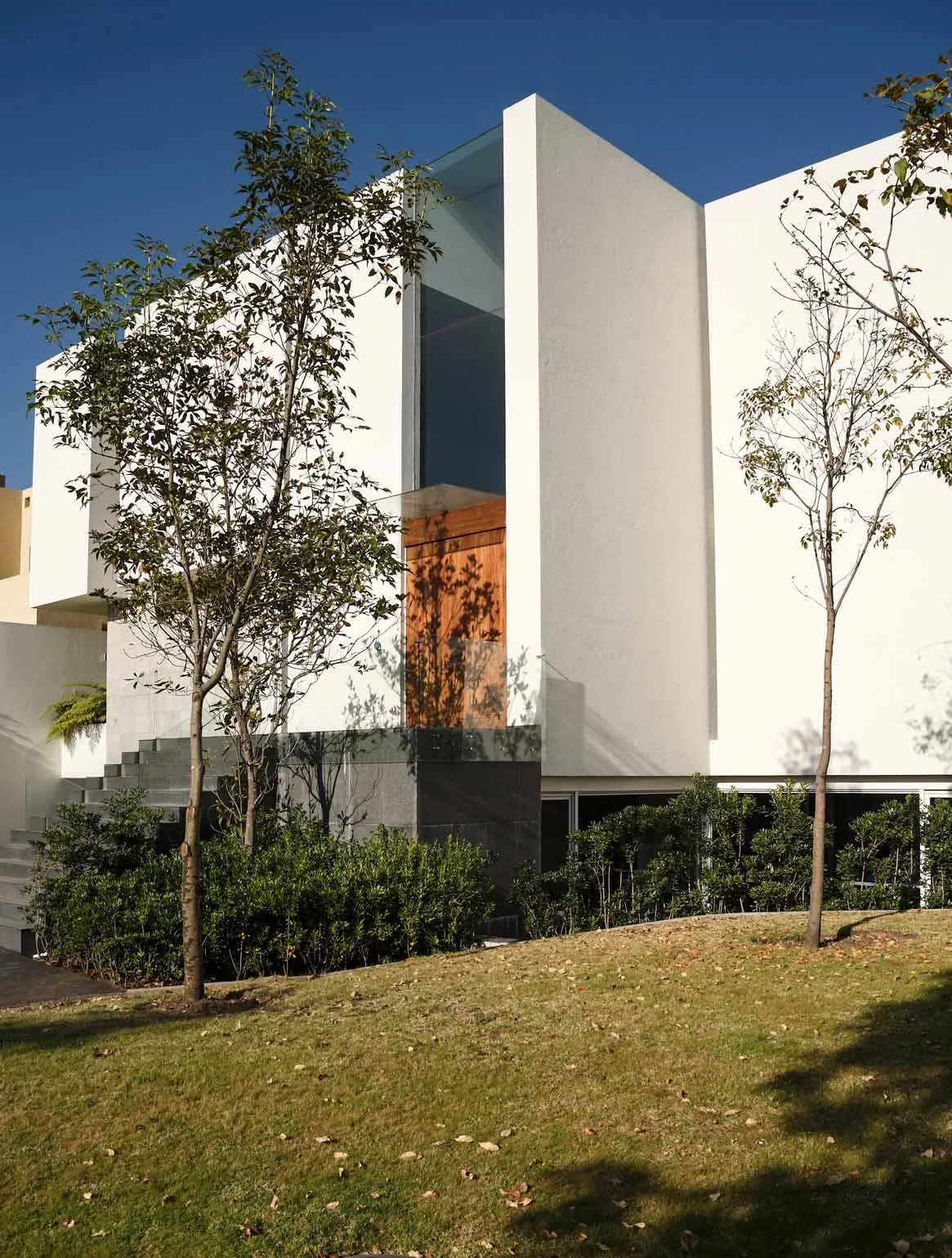 Casa CU: volumen blanco sobre el jardín con árboles jóvenes