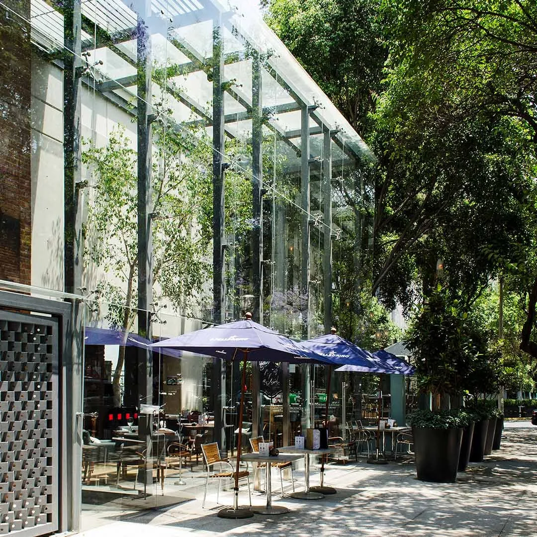 Edificio Veracruz: terraza del restaurante bajo una estructura de vidrio y árboles