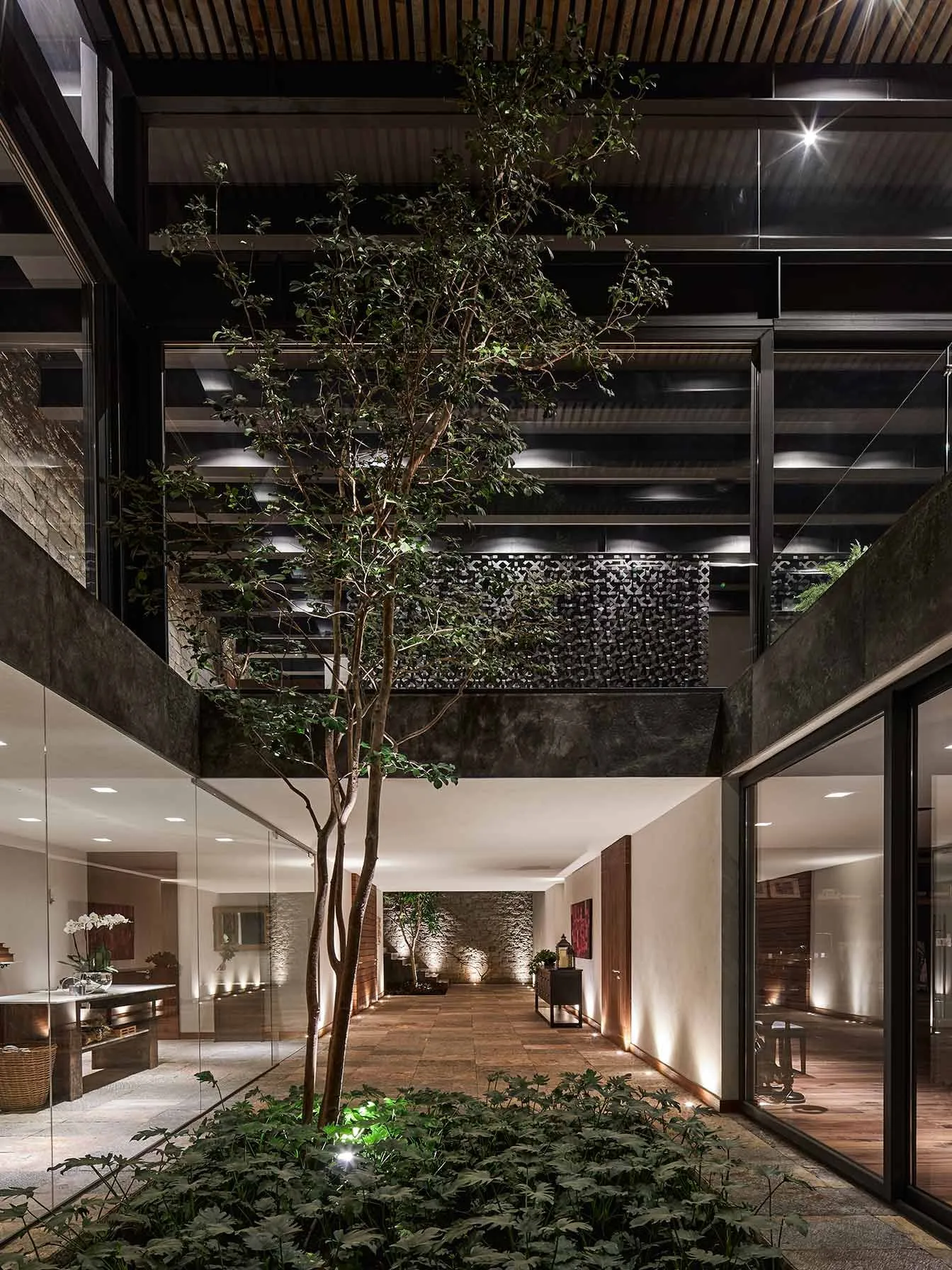 Casa IG: árbol en un patio interior, visto desde la planta alta