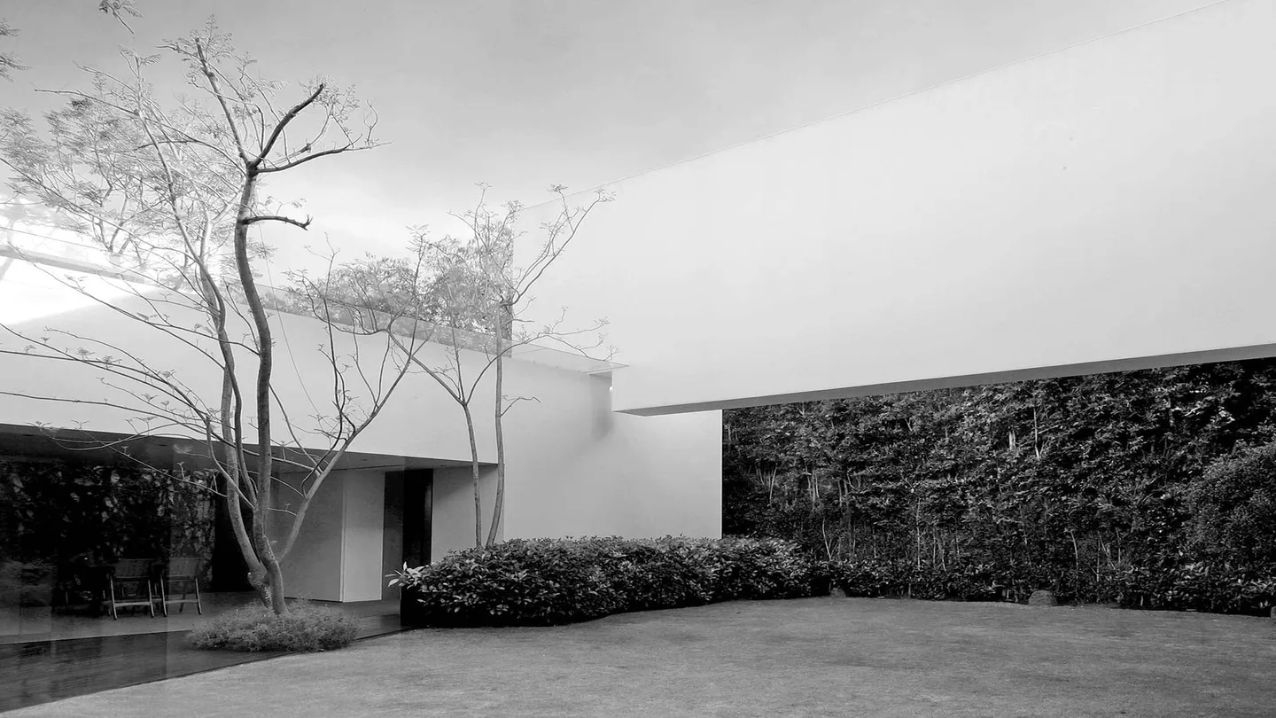 Casa LV: patio con árboles y muro verde, en blanco y negro