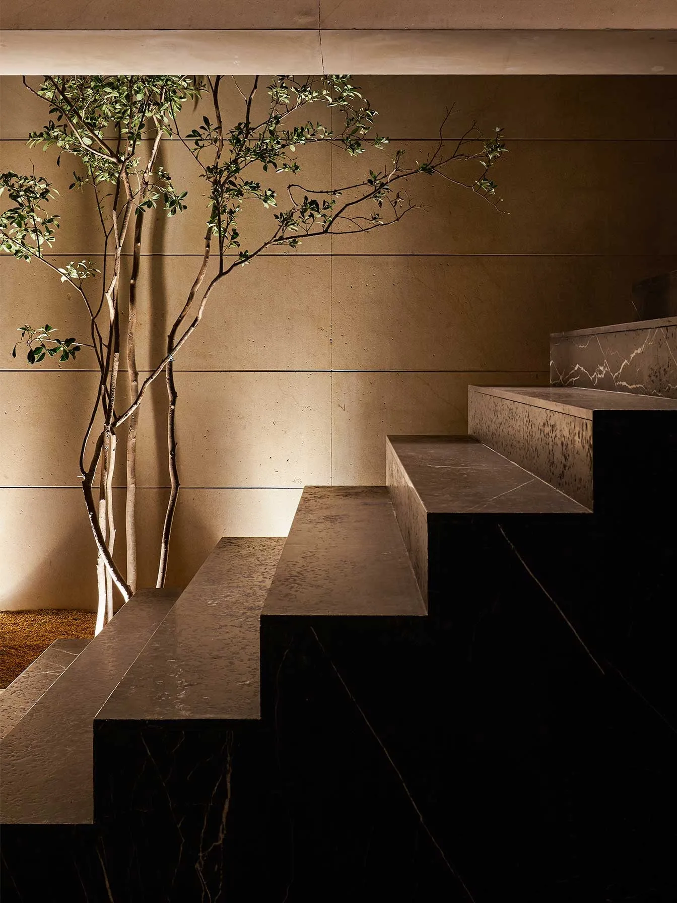 Casa NS: escalera de piedra oscura junto a un árbol interior