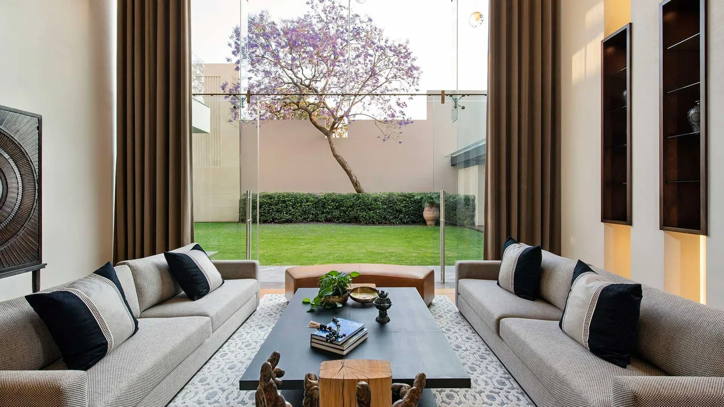 Casa OC: sala con vista al jardín y a una jacaranda en flor