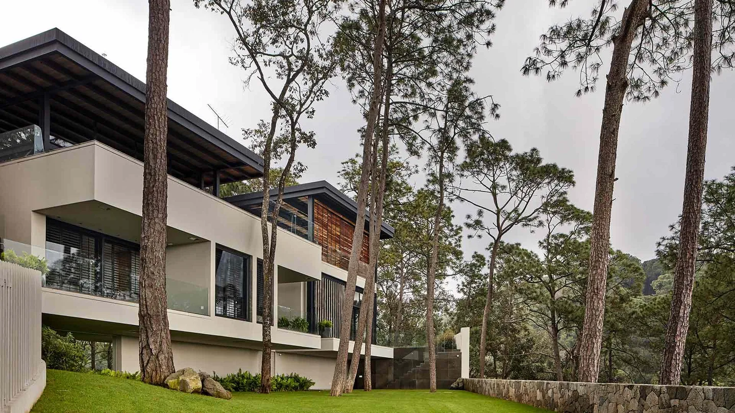 Casa VB: volúmenes de la casa entre pinos