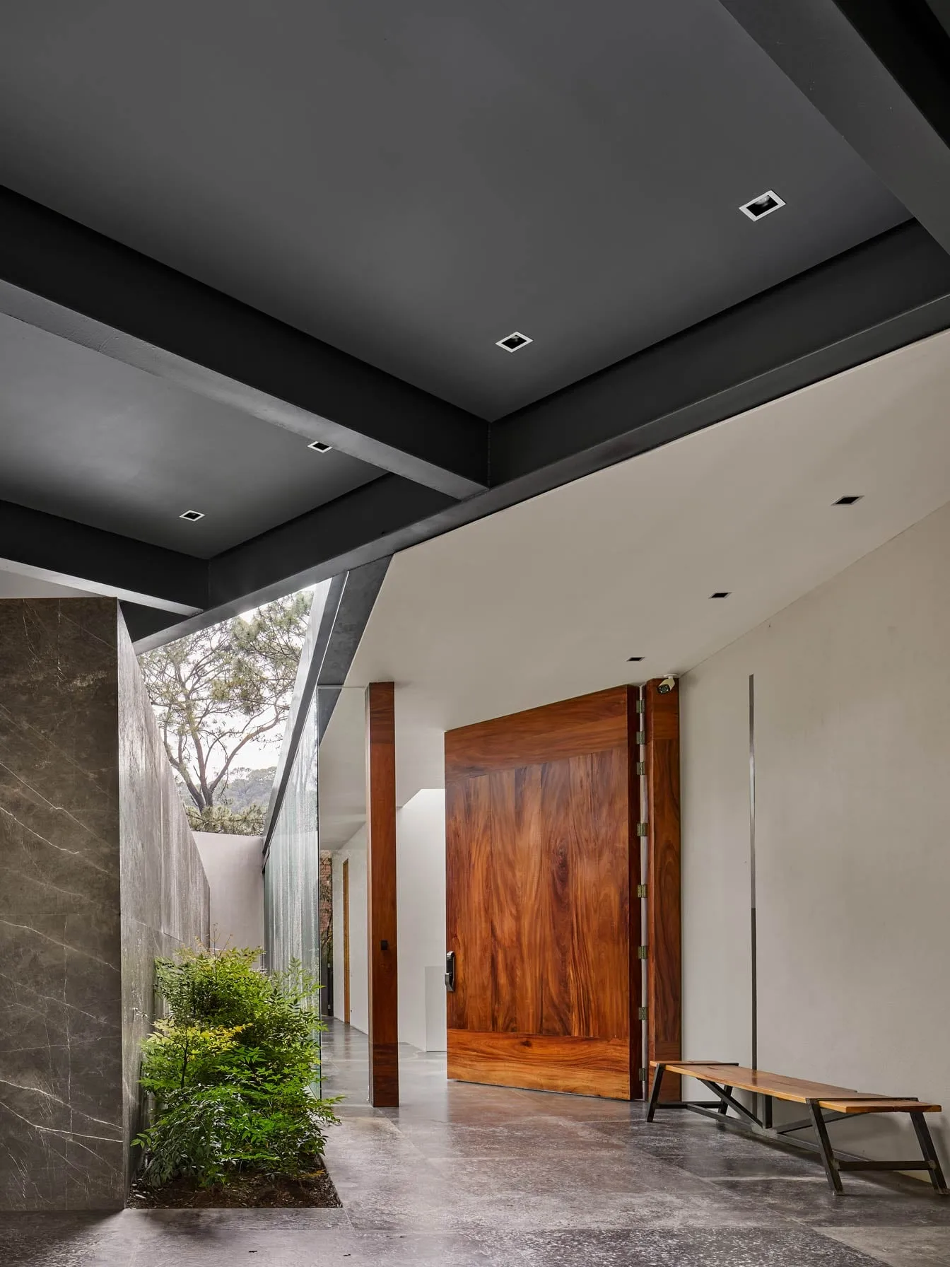 Casa VB: acceso con puerta de madera junto a un patio con vegetación